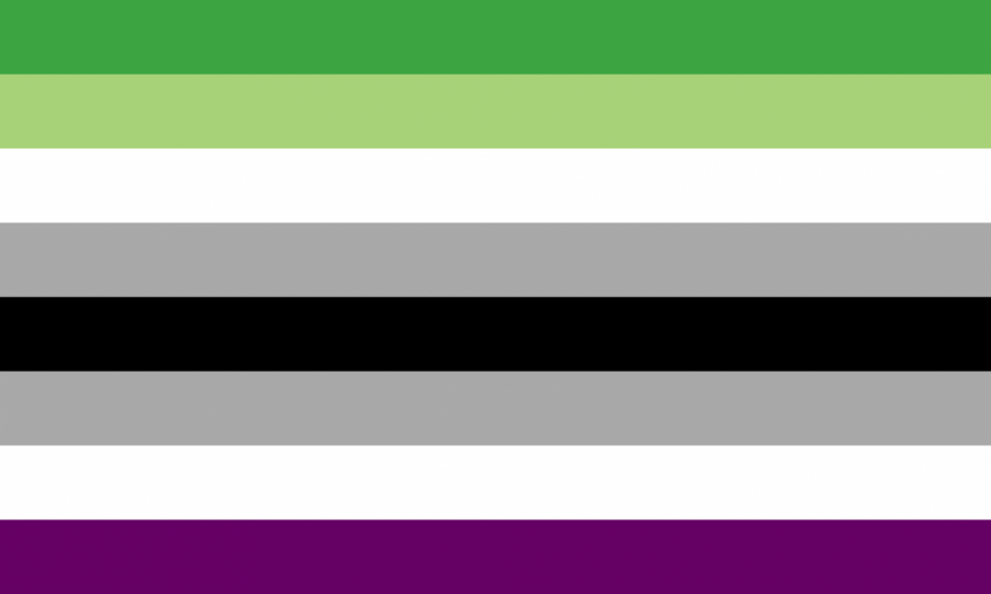 Designed in 2016 by a DeviantArt user, this is one of the many aromantic and asexual flags.  The green stripes represent aromantisim while the purple stand for asexuality.  The white stripes are meant to symbolize inclusion, and the gray demonstrates the spectrum of both asexuality and aromanticism.