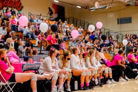 The audience and some of the HBHS Girls Varsity Volleyball are watching the Dig Pink game at HBHS. Photo by: Gus Martinez