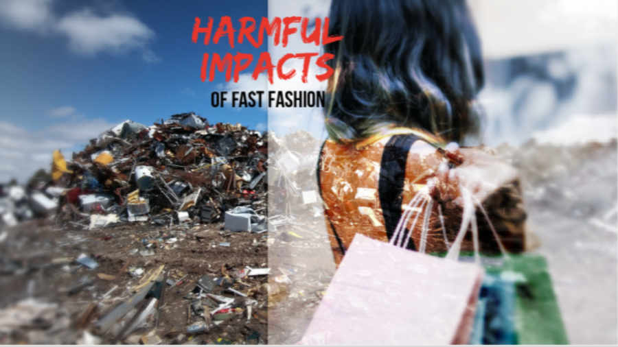 The Harmful Impacts of Fast Fashion