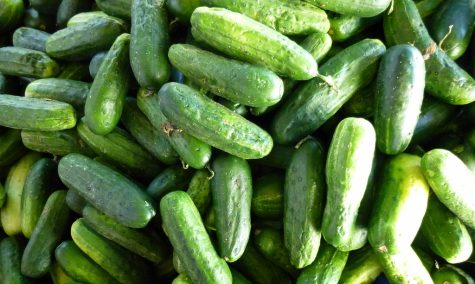 Pickling Cucumbers by Mike Licht is licensed under CC BY 2.0.