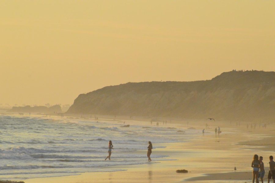 The shore of Crystal Cove during the summer. (Photography by: Lila Concepcion)