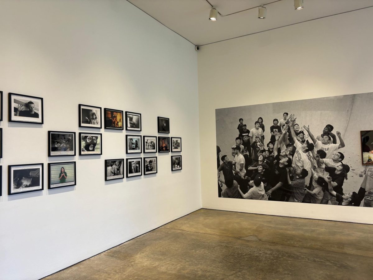 A collection of photographs captured by Ed Templeton at the Long Beach Museum of Art.