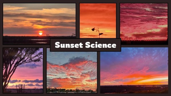 A collage of photos highlighting the different types sunsets recently. 
