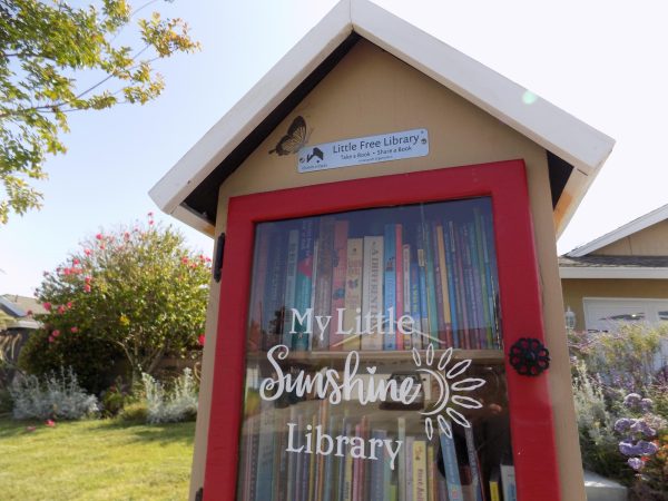 One of the many Free Little Libraries located in Huntington Beach.