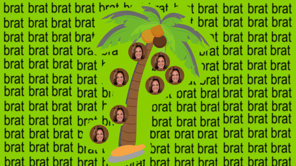 Collage of Kamala Harris falling out of a coconut tree with the word "brat" repeated in the background.