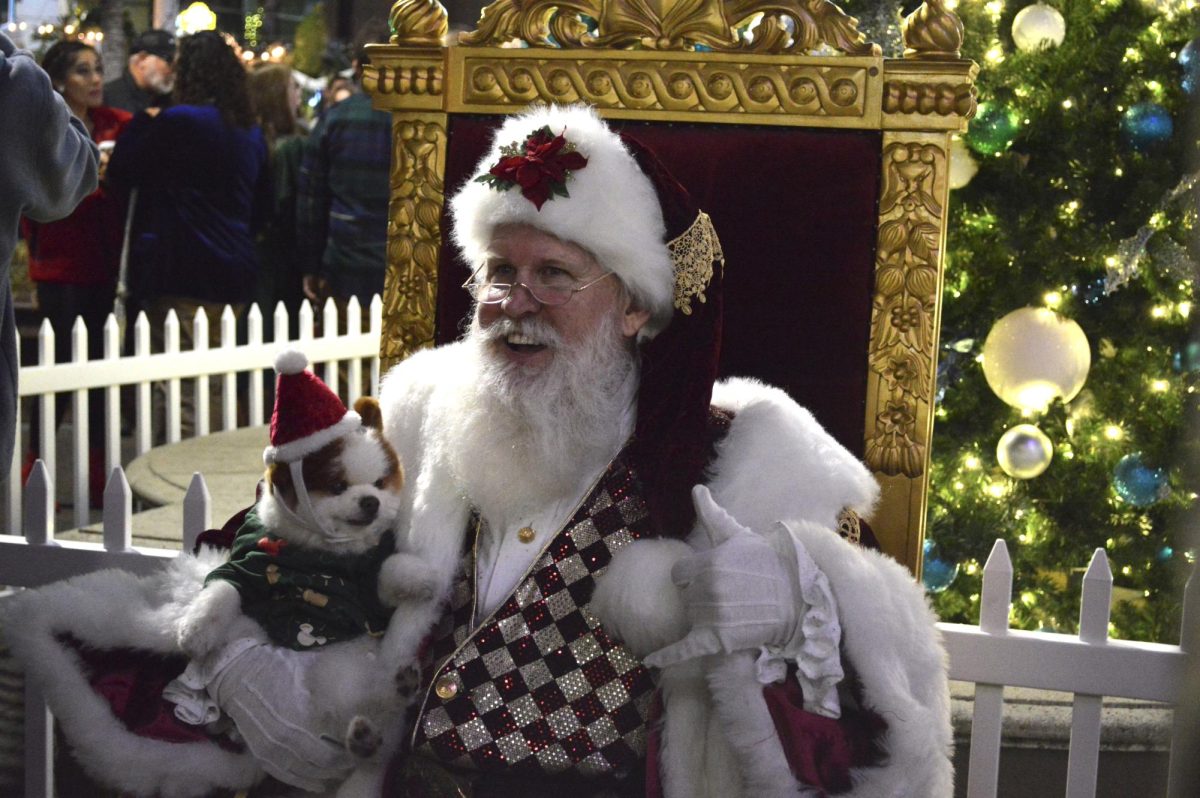 Santa Claus poses with a festive pooch beneath the Christmas tree. 