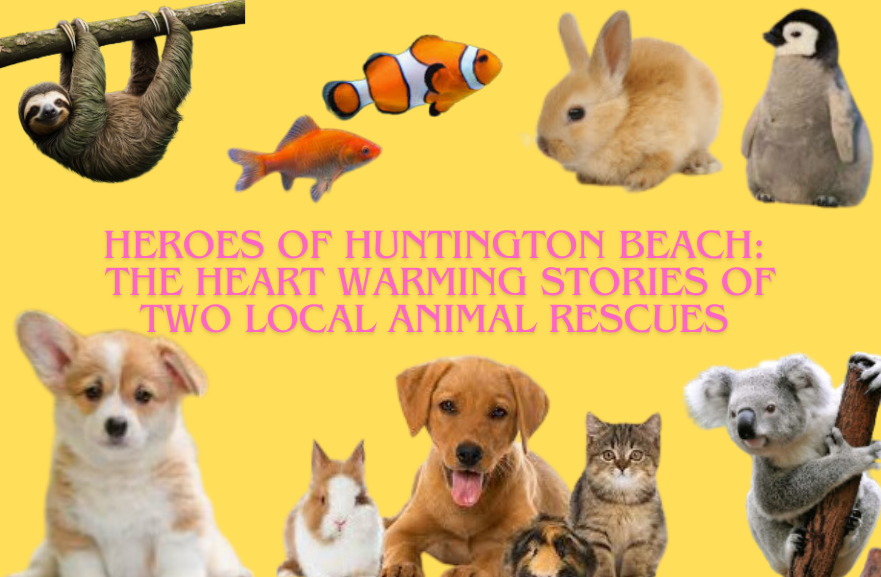 A collage of multiple animals with the title written in pink font. 