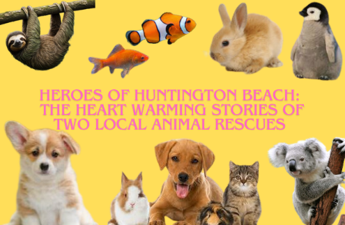 Heroes of Huntington Beach: The Heartwarming Stories of Two Local Animal Rescues