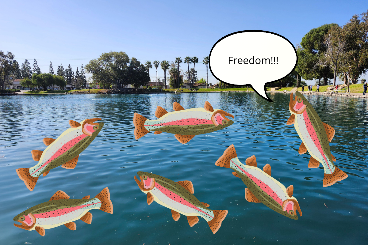 A collage with the trout and one of the fish exclaiming "Freedom!!" over Eisenhower Lake.