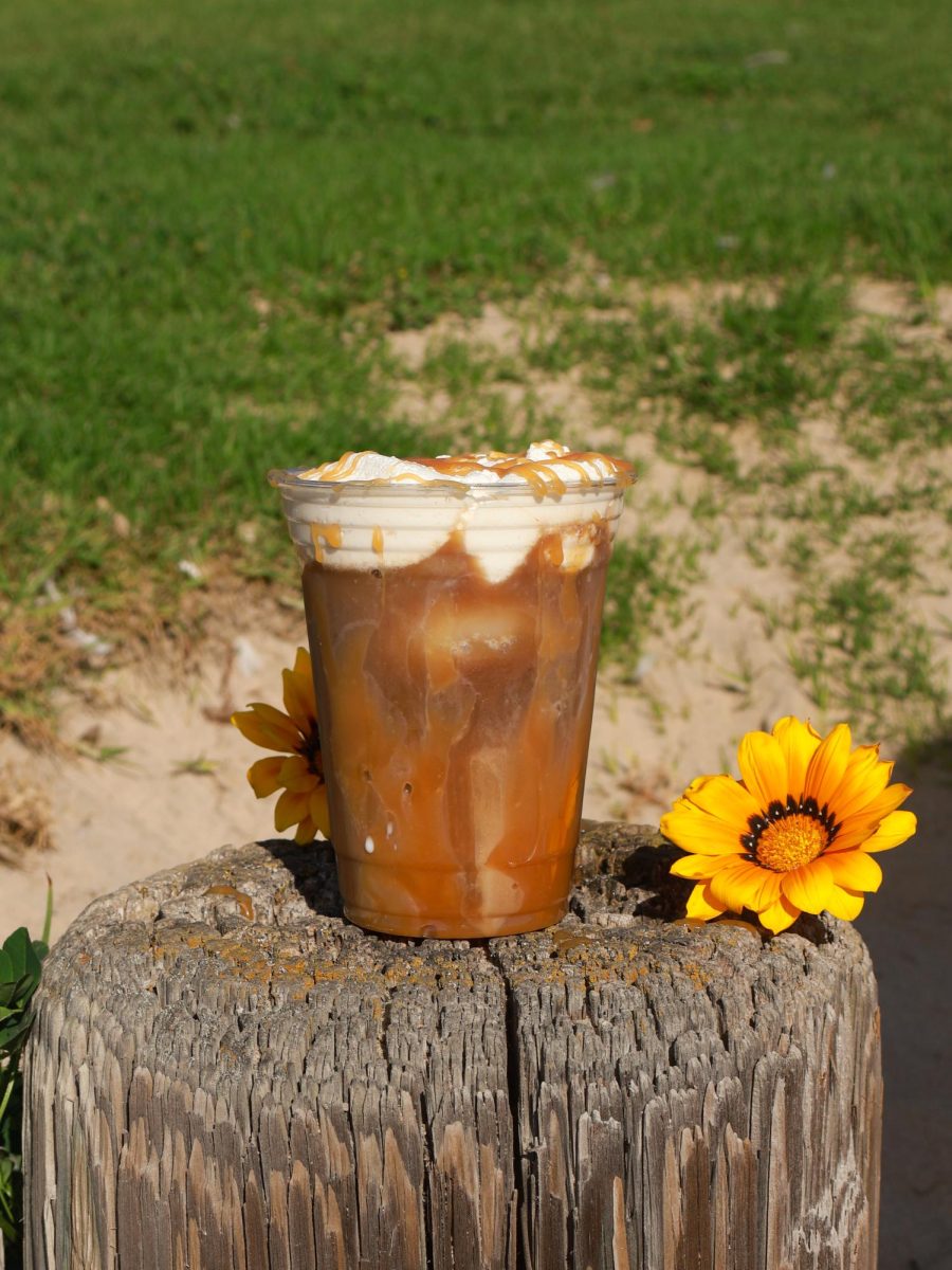 One of Salty Sun's iced coffee drinks with a tasty foam top.