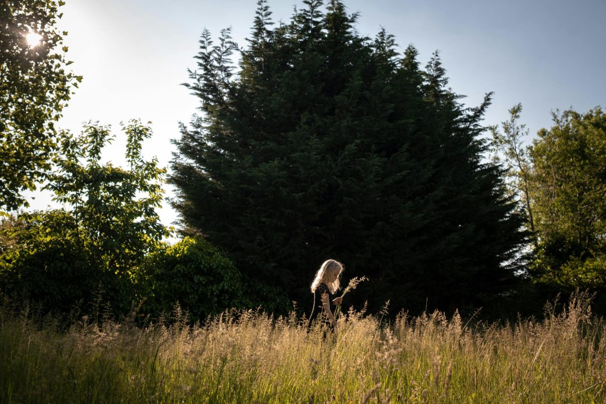 A young girl with blonde hair in a grassy field under the sun, surrounded by trees. Photo by Fieke van Slooten from Pexels.