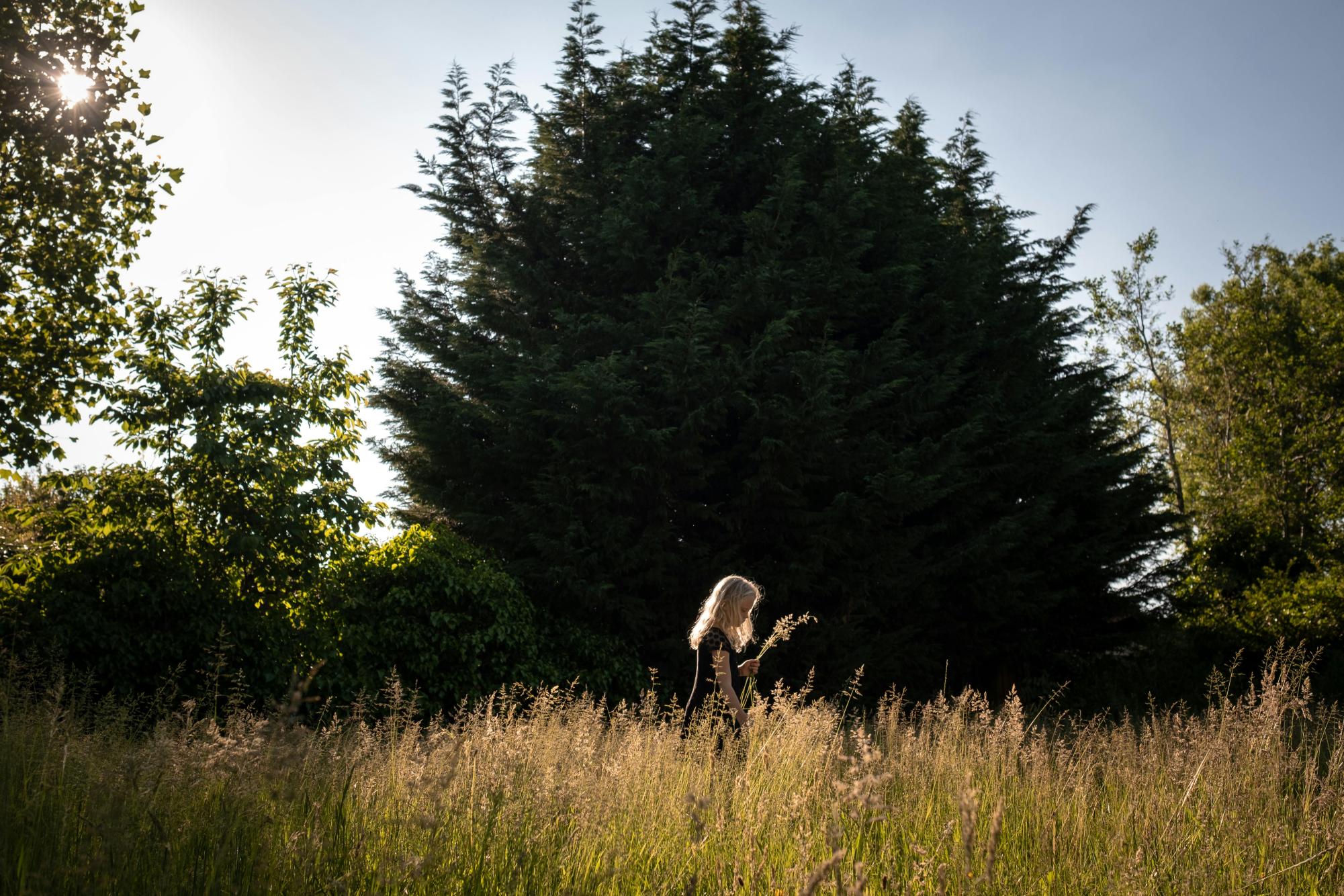 A young girl with blonde hair in a grassy field under the sun, surrounded by trees. Photo by Fieke van Slooten from Pexels.