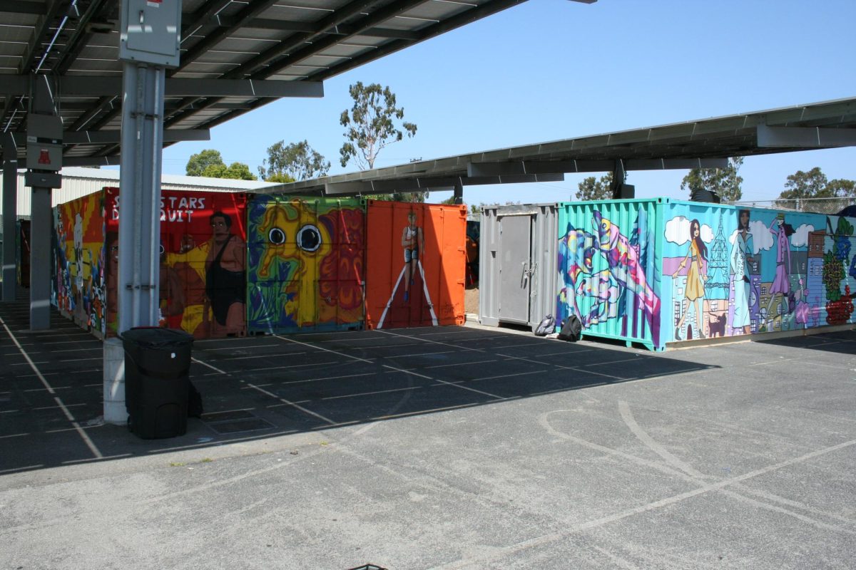 Overview of the murals tucked away under the solar panels in the back corner of the school. 
