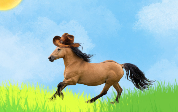 Collage of a horse wearing a hat running on a grass field with a blue sky