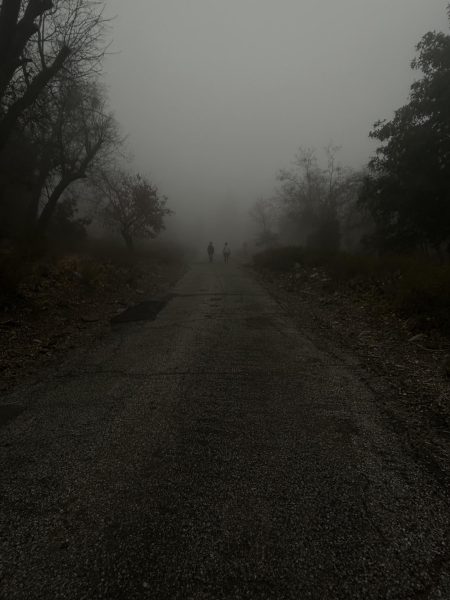 A photo on a trail, foggy, cold, and dreary. 