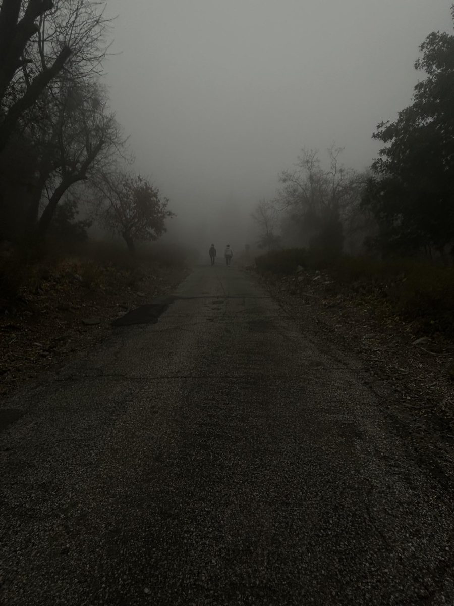 A photo on a trail, foggy, cold, and dreary. 